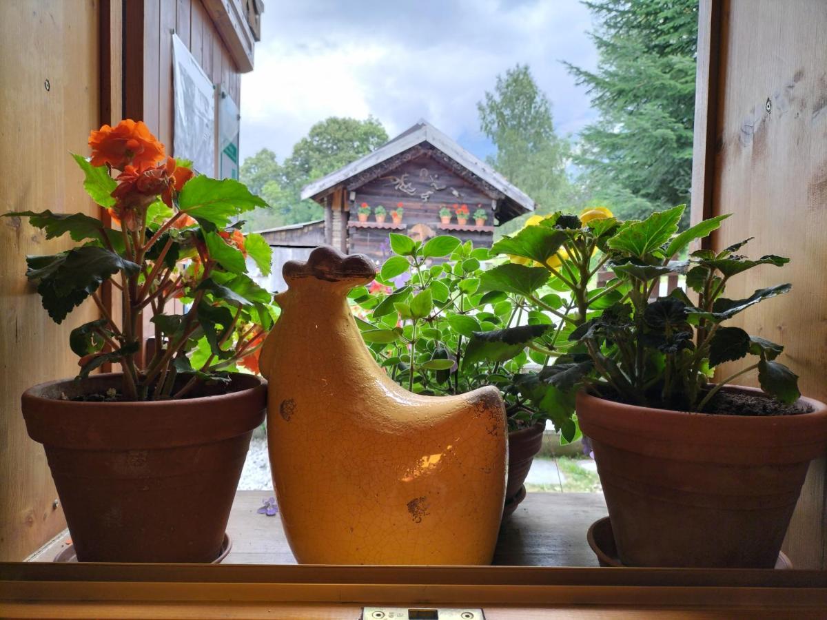 Le Montagny Hotel Les Houches Buitenkant foto